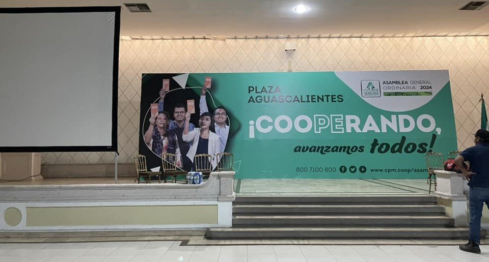 Imagen 1 del producto